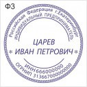 Печать для ИП форма 3